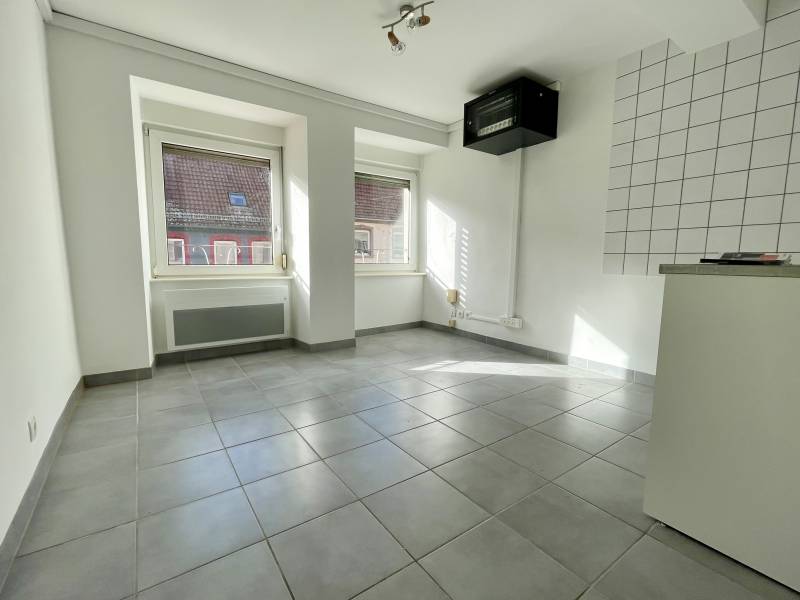 Appartement à usage professionnel au centre ville à proximité de toutes les commodités sur SARRE-UNION