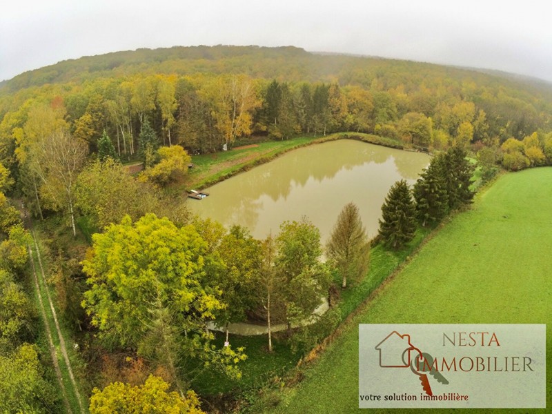 Etang avec un une dépendance  à proximité de la foret sur la commune de SARRALBE