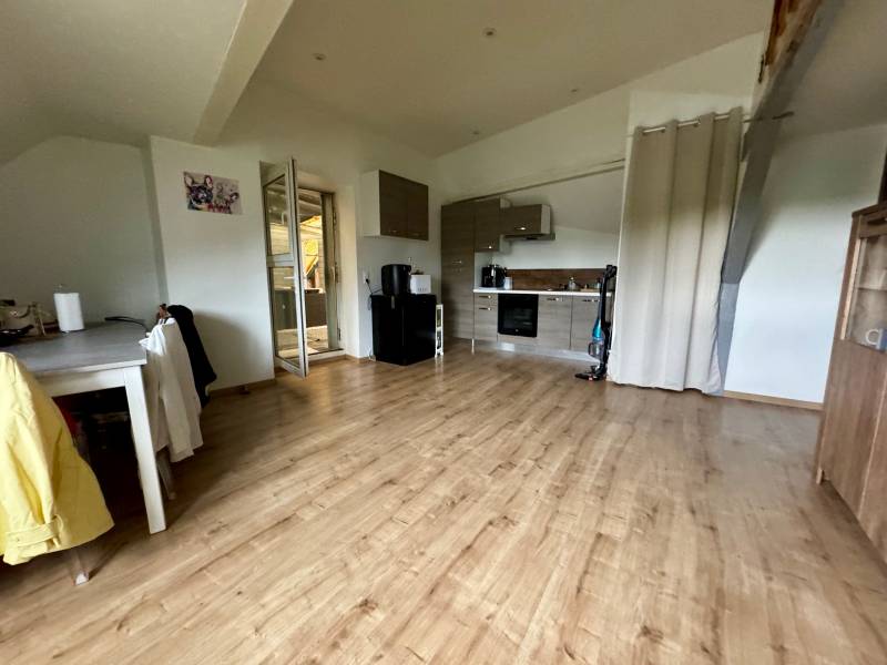 Appartement 93 m2 au centre ville de SARREGUEMINES