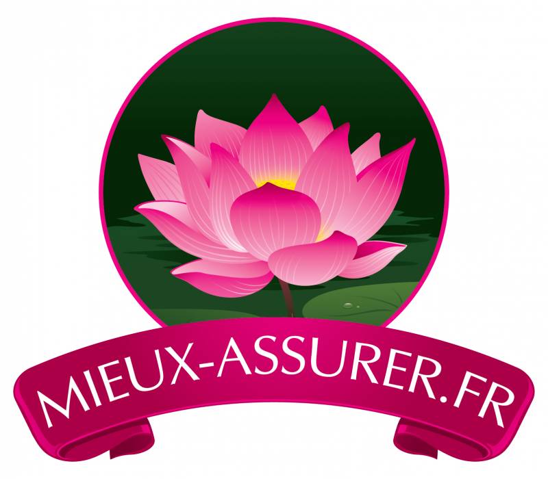Comparateur en assurance de prêt à Strasbourg  - Mieux-assurer.fr Mieux-assurer.fr